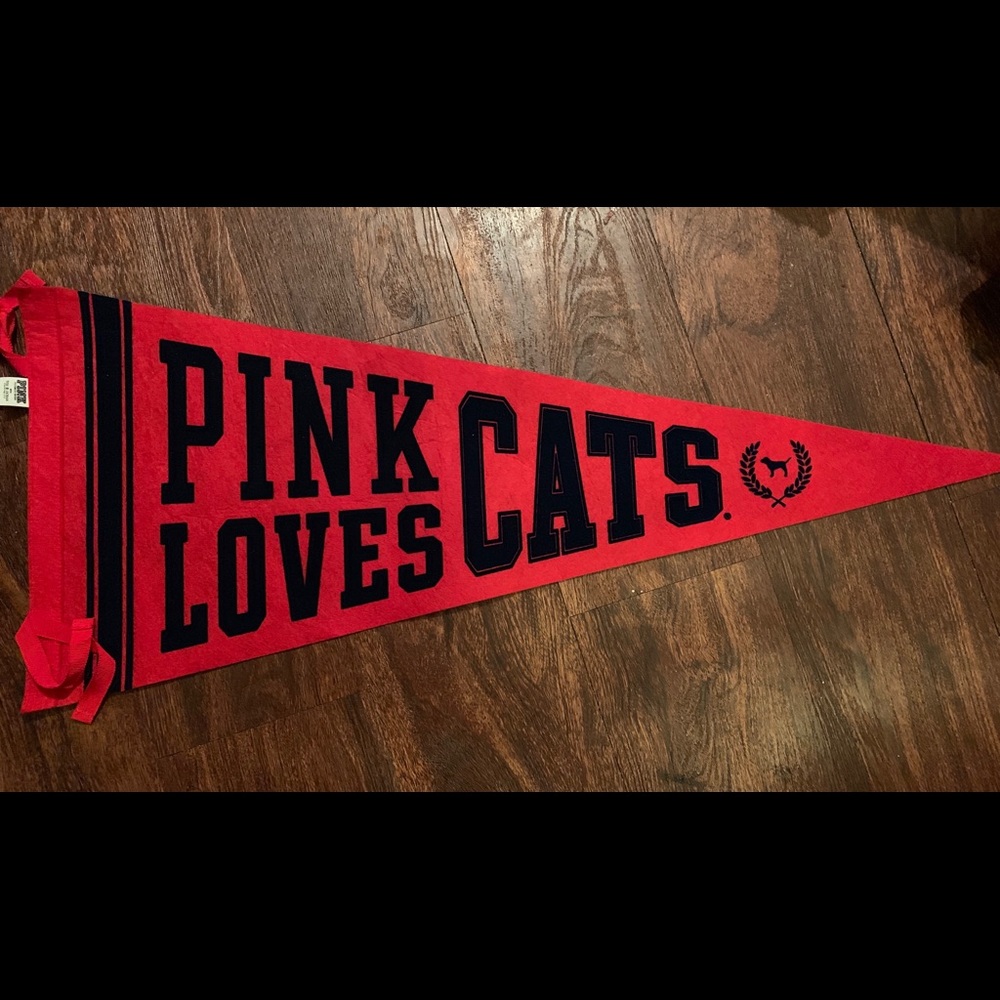 VS PINK COLLEGIATE PENNANT